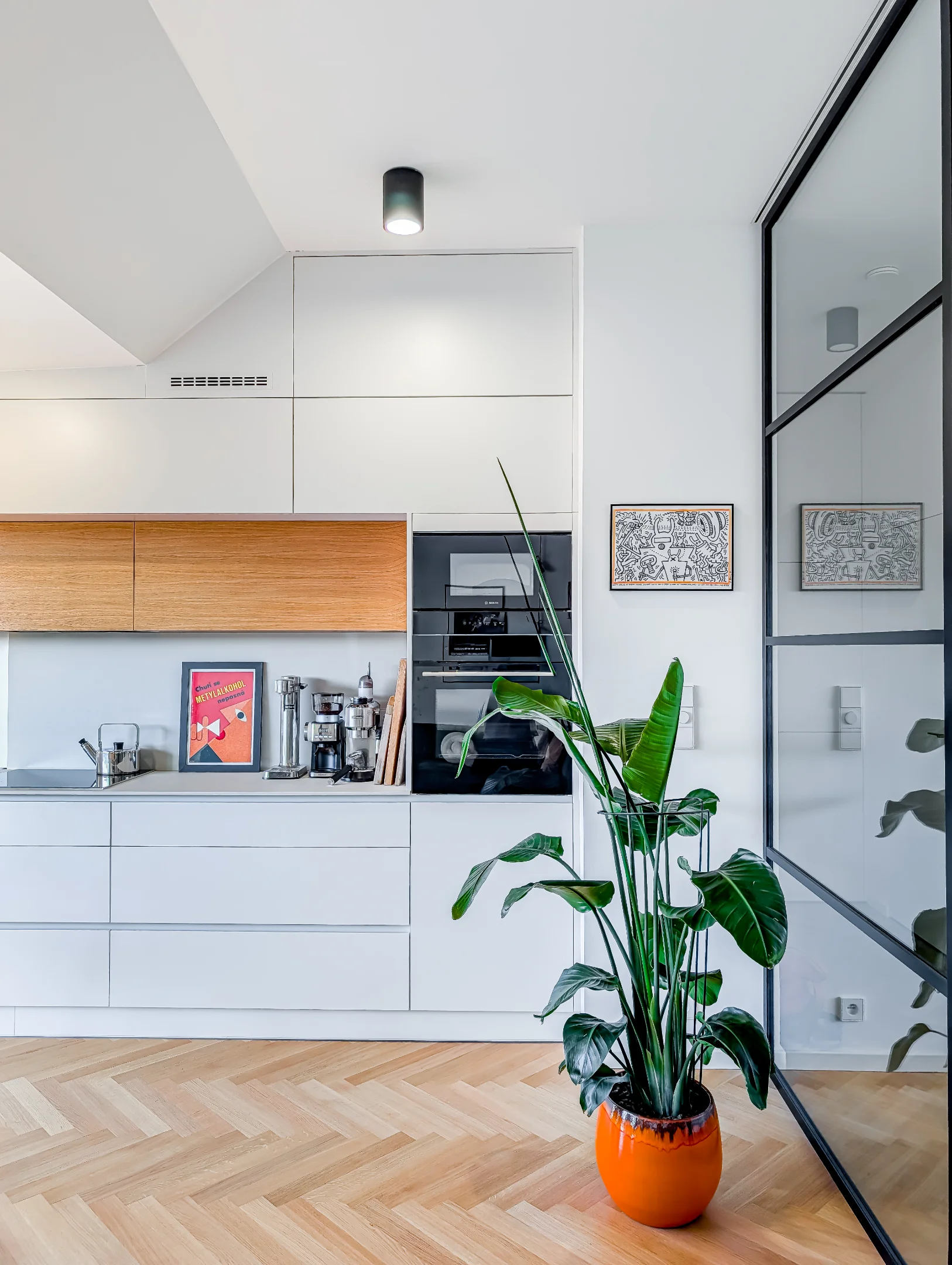 Bílá kuchyně dřevo parkety rostlina oranžový květináč a skleněná stěna